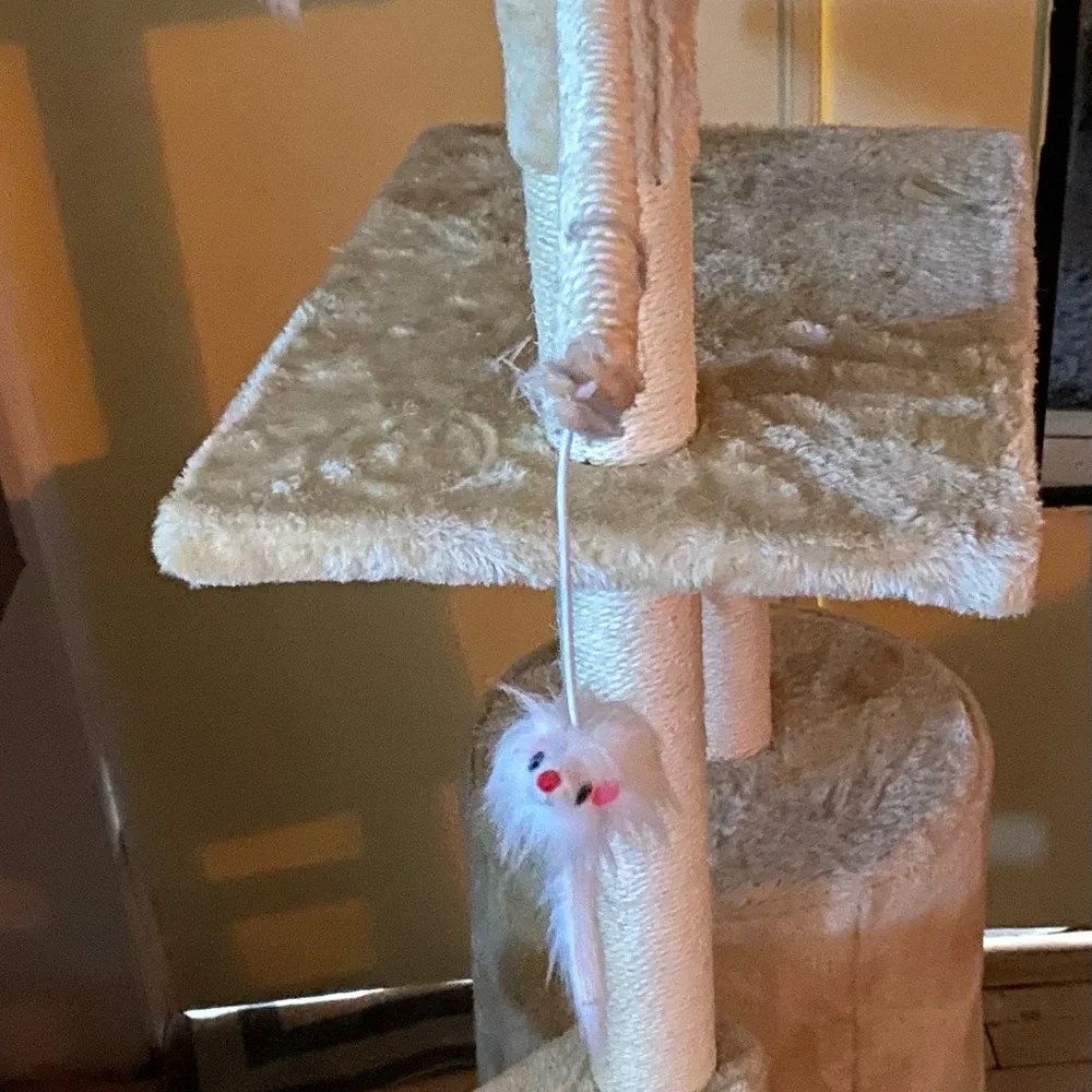 Cat Tree